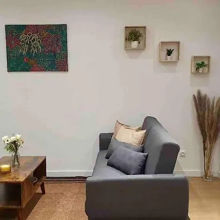 Appartement 40m2 Centre De